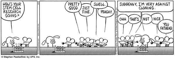 pearls